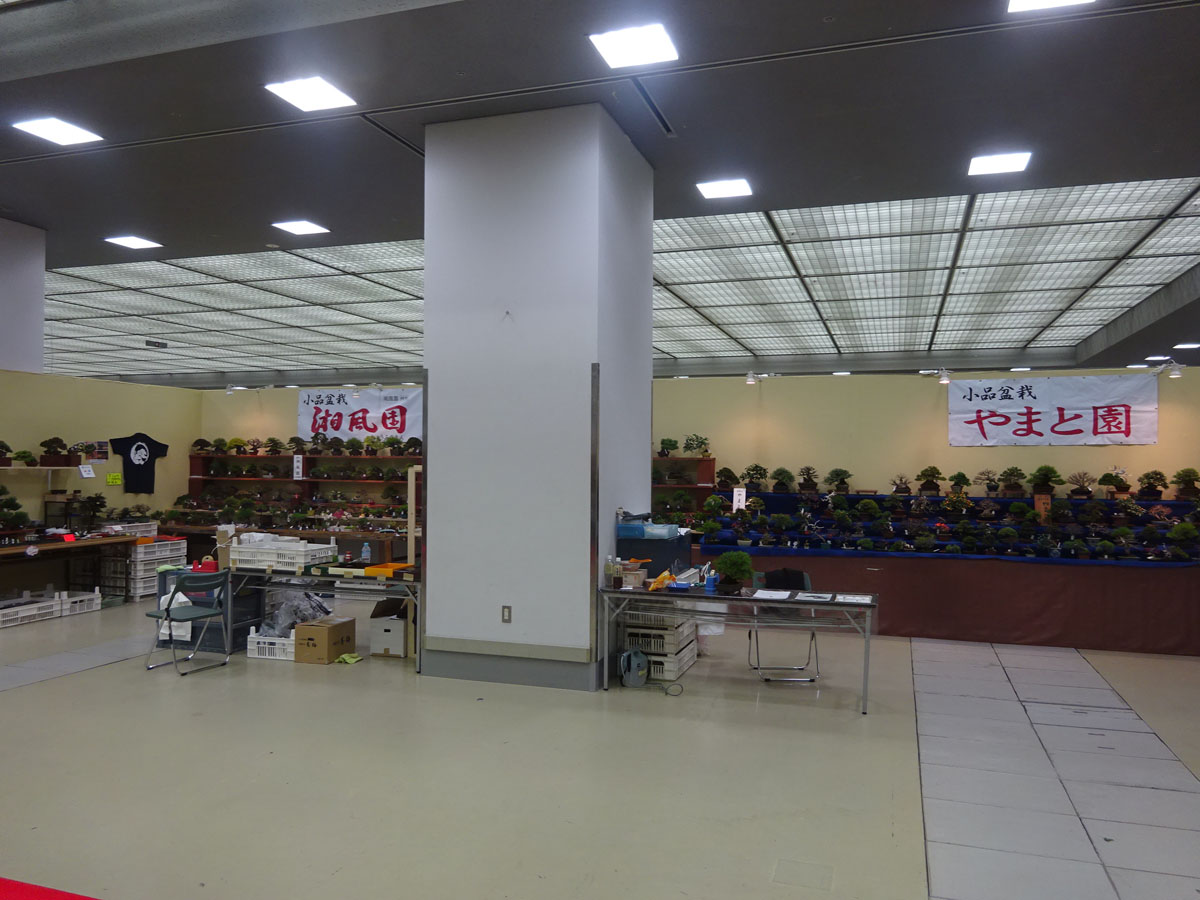 ���i�~�͐��X ������L