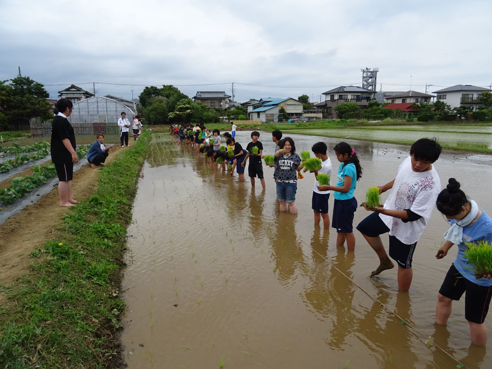 ���i�~�͐��X ������L