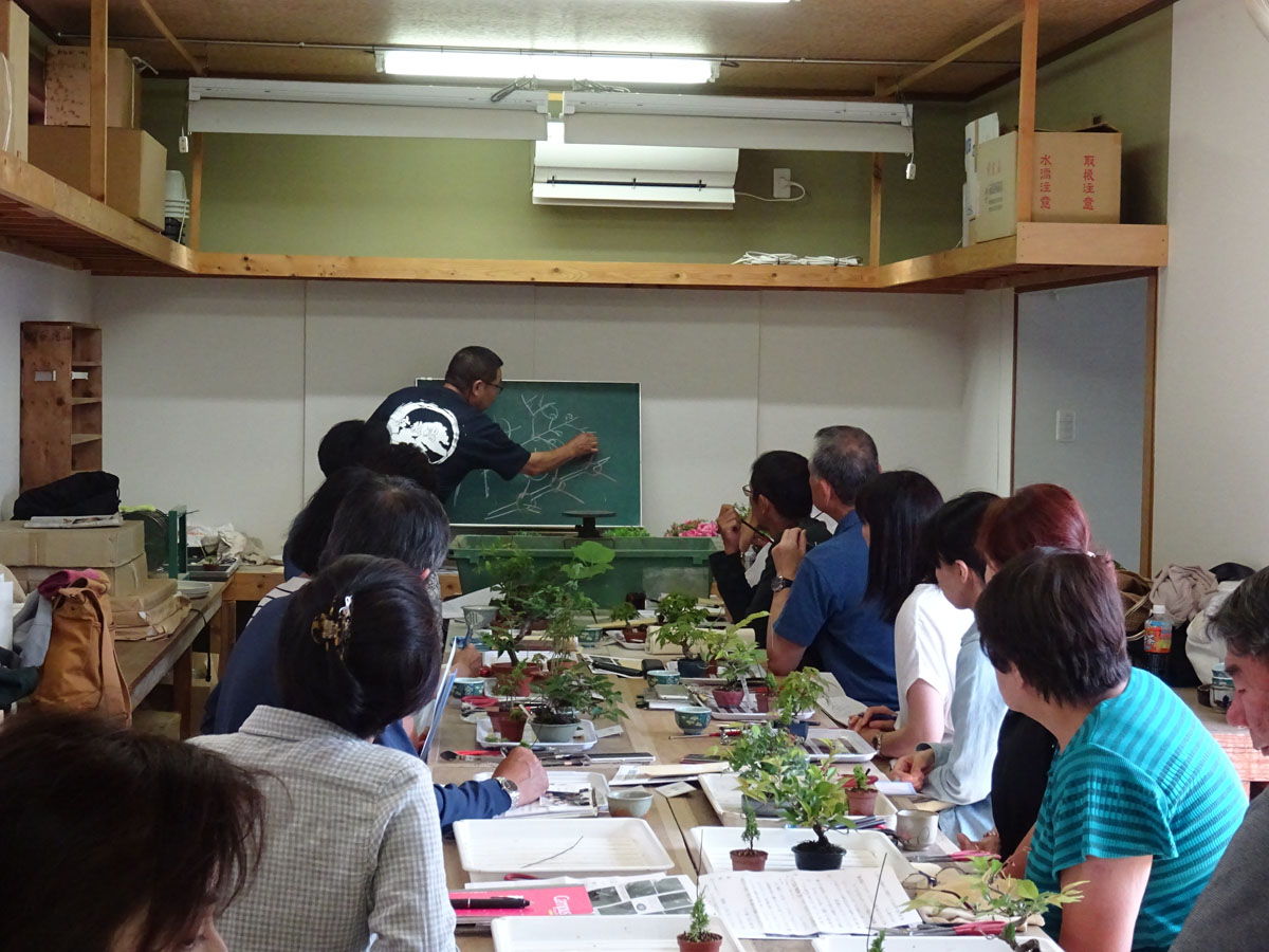 ���i�~�͐��X ������L