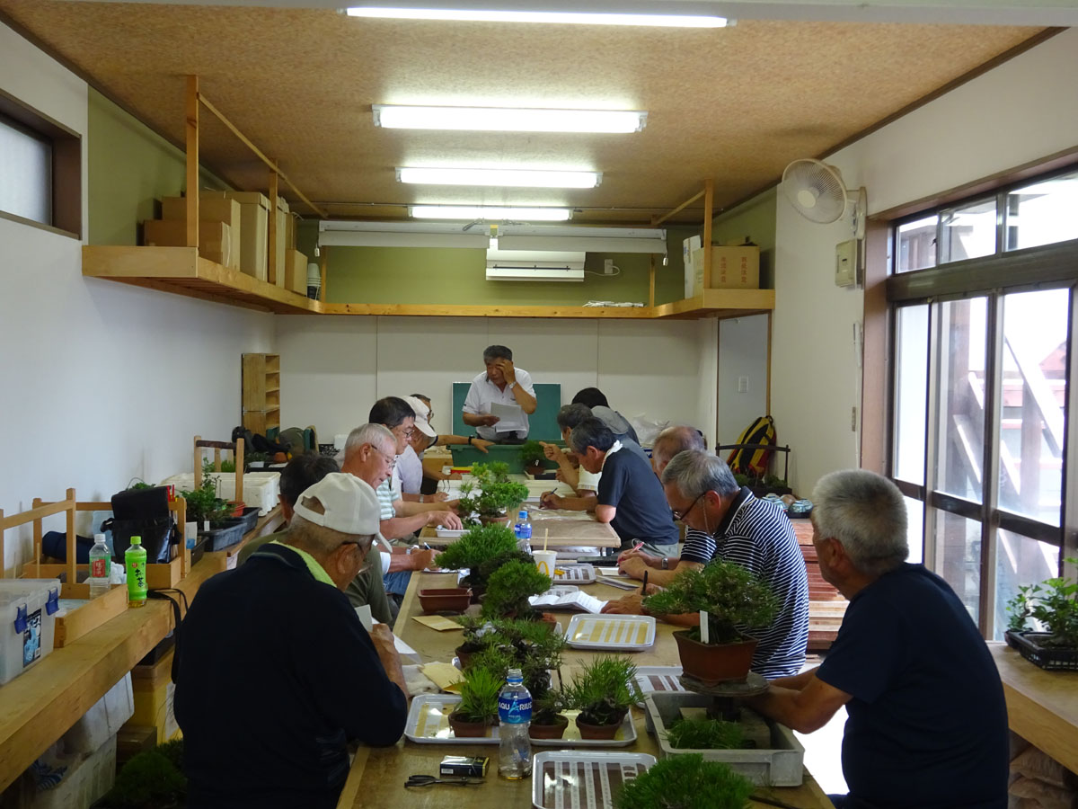 ���i�~�͐��X ������L