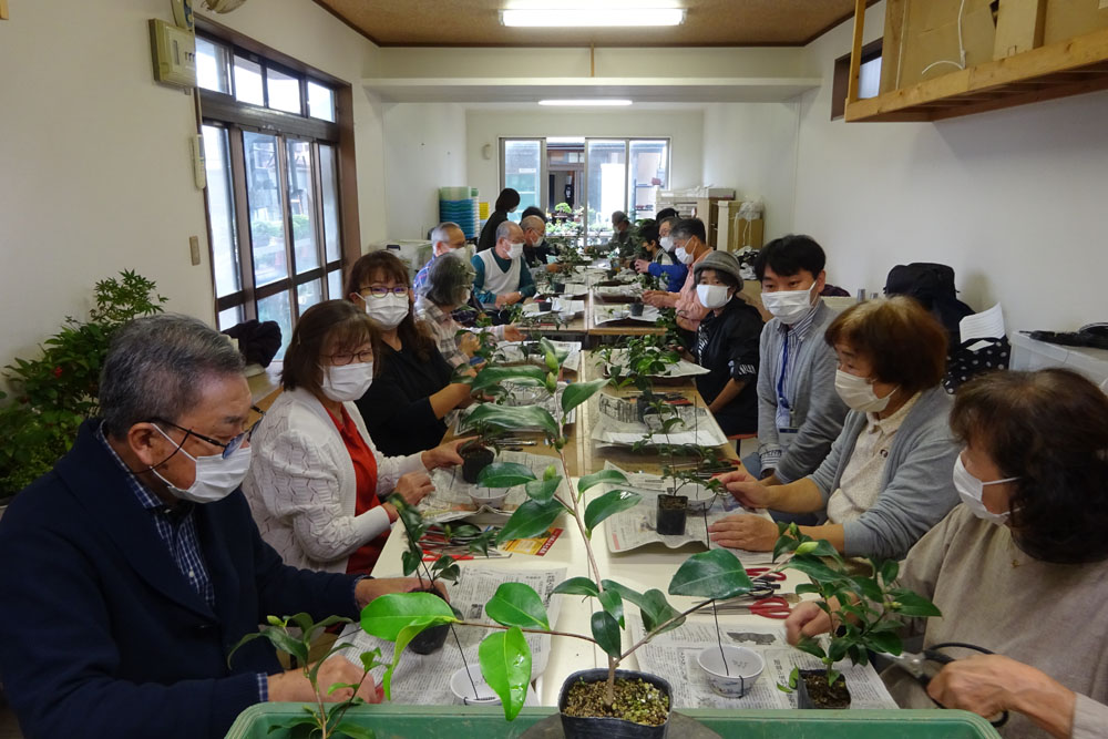 ���i�~�͐��X ������L