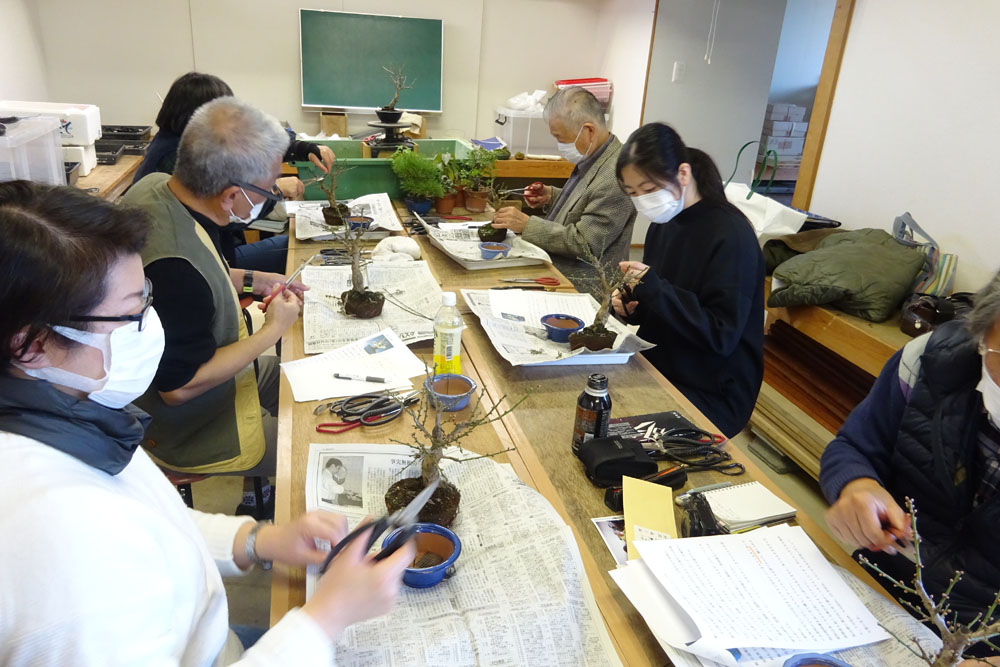 ���i�~�͐��X ������L