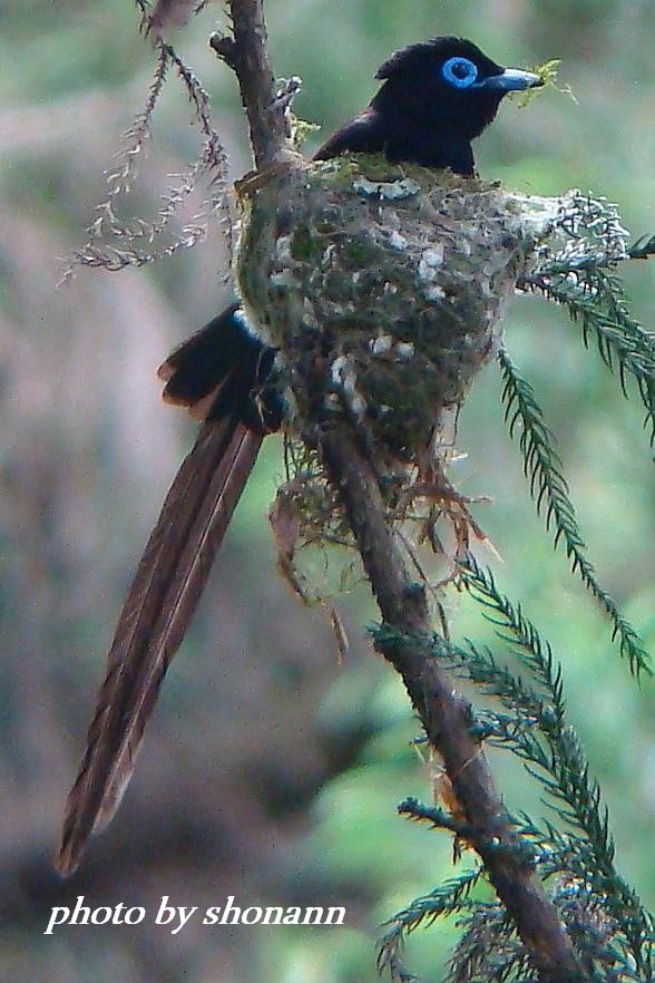 �Ó�̕��ƌ�