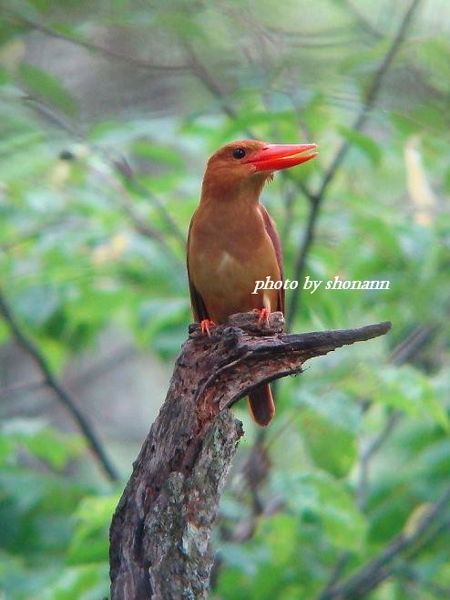 �Ó�̕��ƌ�