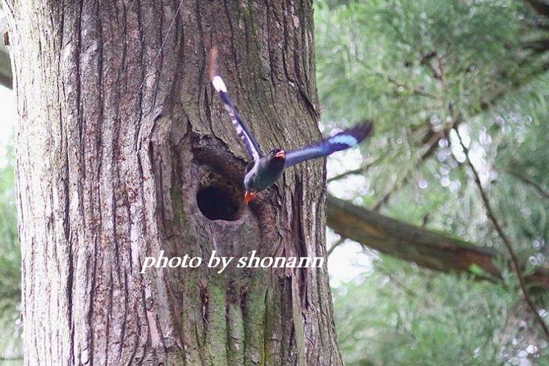 �Ó�̕��ƌ�