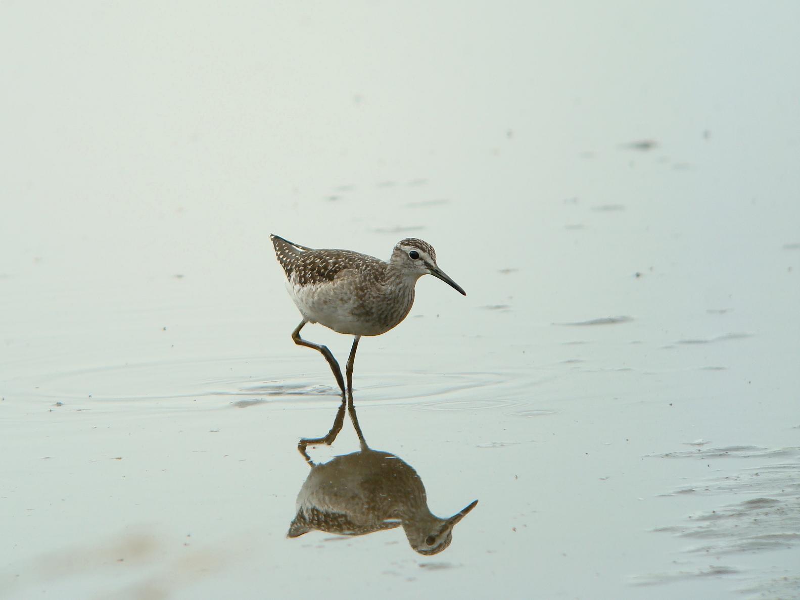 �Ó�̕��ƌ�