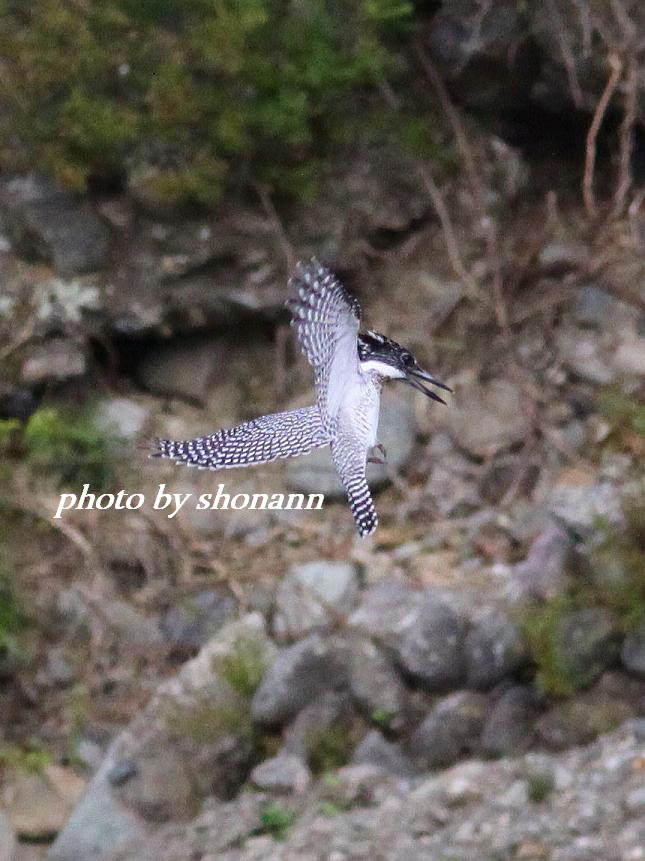 �Ó�̕��ƌ�