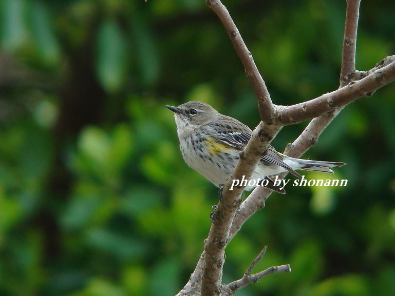 �Ó�̕��ƌ�