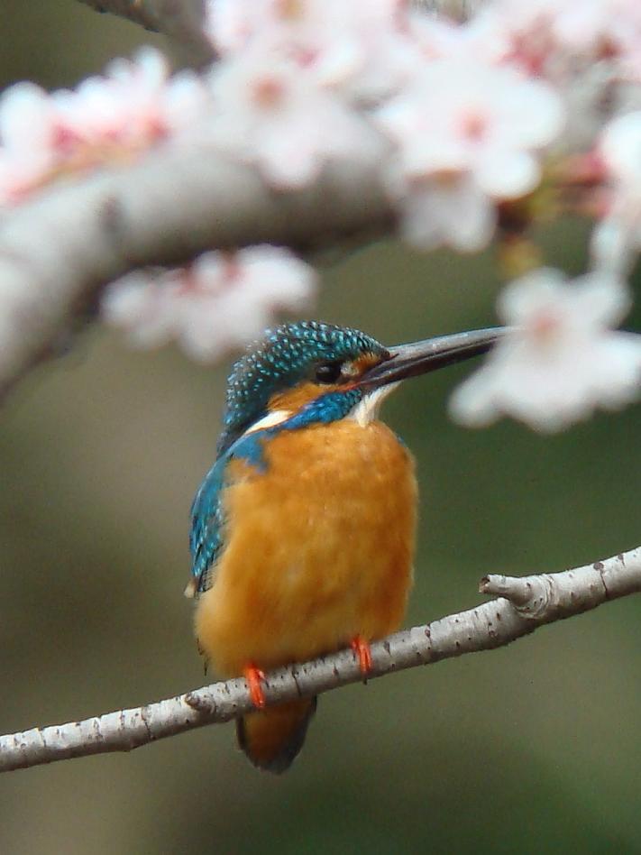 �Ó�̕��ƌ�