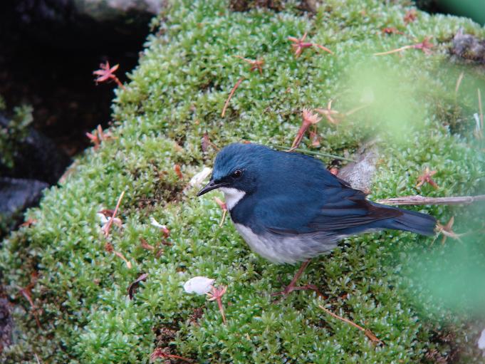 �Ó�̕��ƌ�