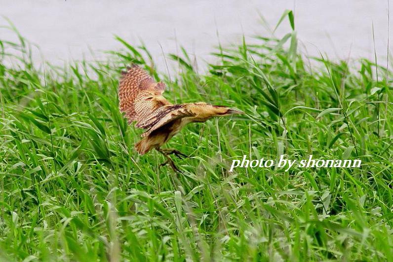 �Ó�̕��ƌ�