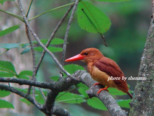 �Ó�̕��ƌ�