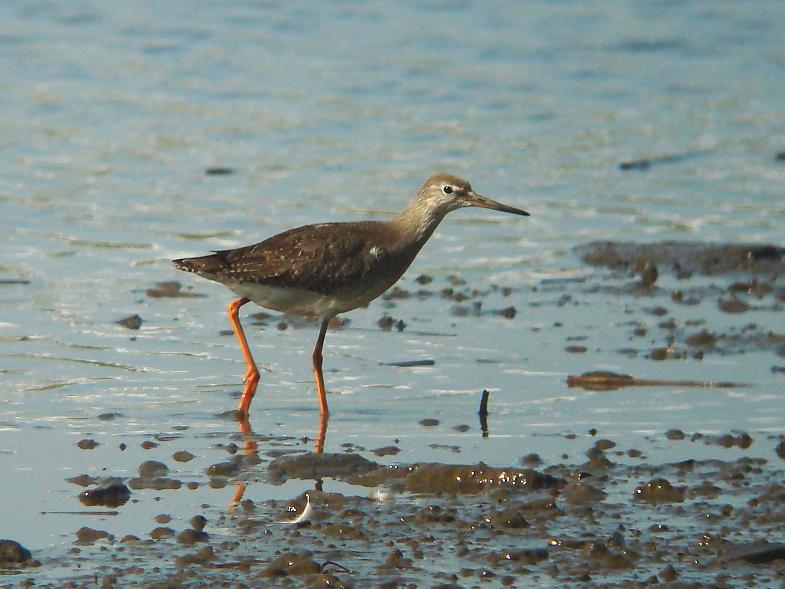 �Ó�̕��ƌ�