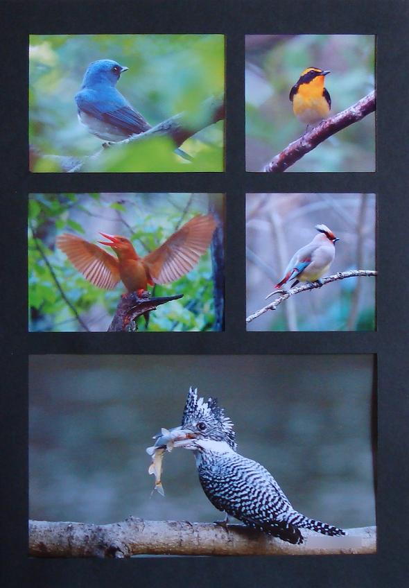 �Ó�̕��ƌ�