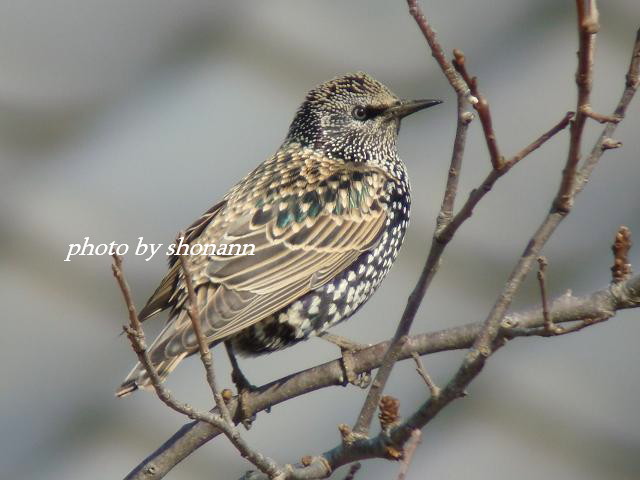 �Ó�̕��ƌ�