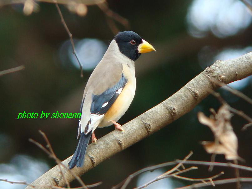 �Ó�̕��ƌ�