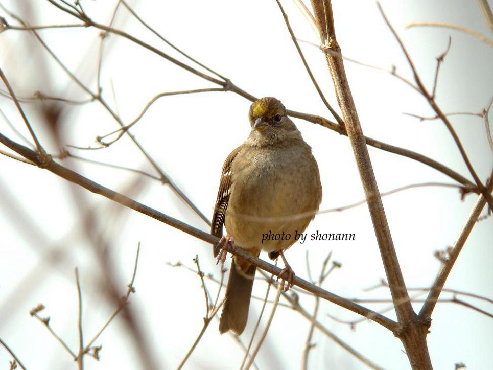 �Ó�̕��ƌ�