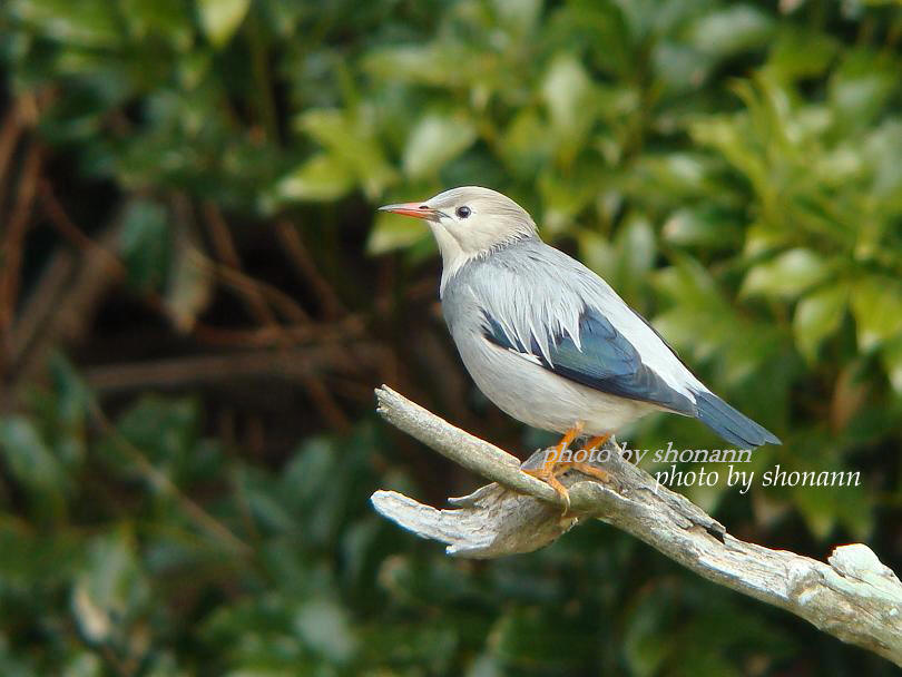 �Ó�̕��ƌ�