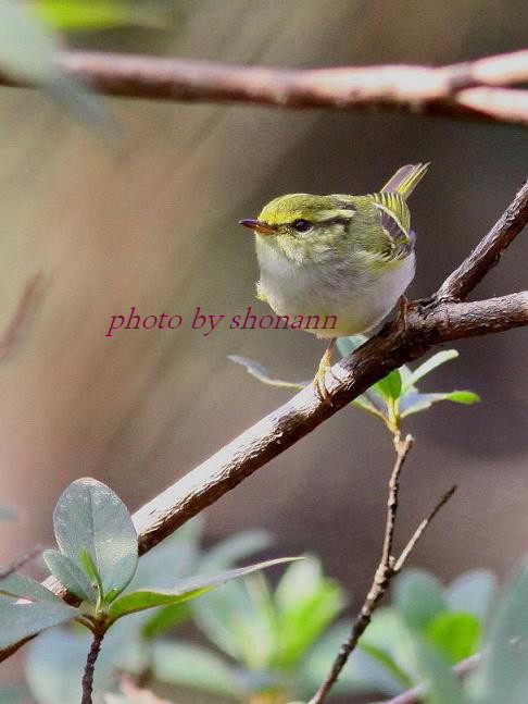 �Ó�̕��ƌ�