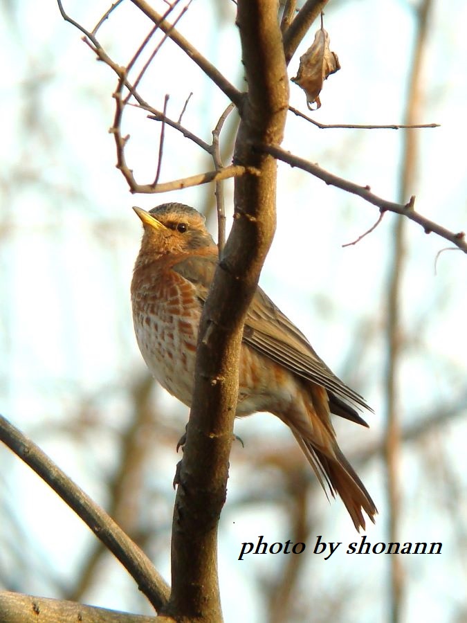 �Ó�̕��ƌ�