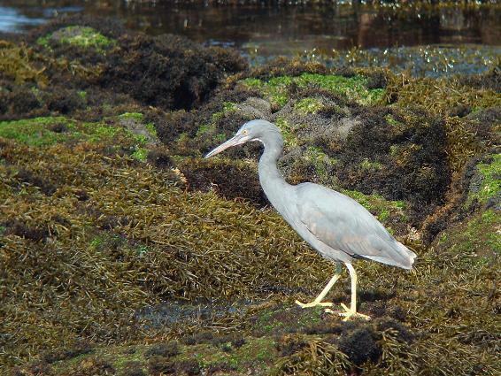 �Ó�̕��ƌ�