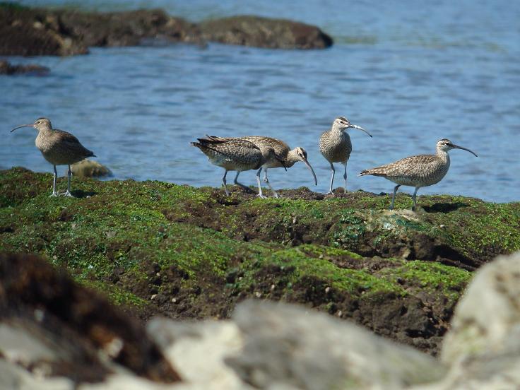 �Ó�̕��ƌ�