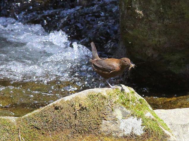 �Ó�̕��ƌ�