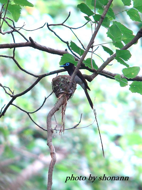 �Ó�̕��ƌ�