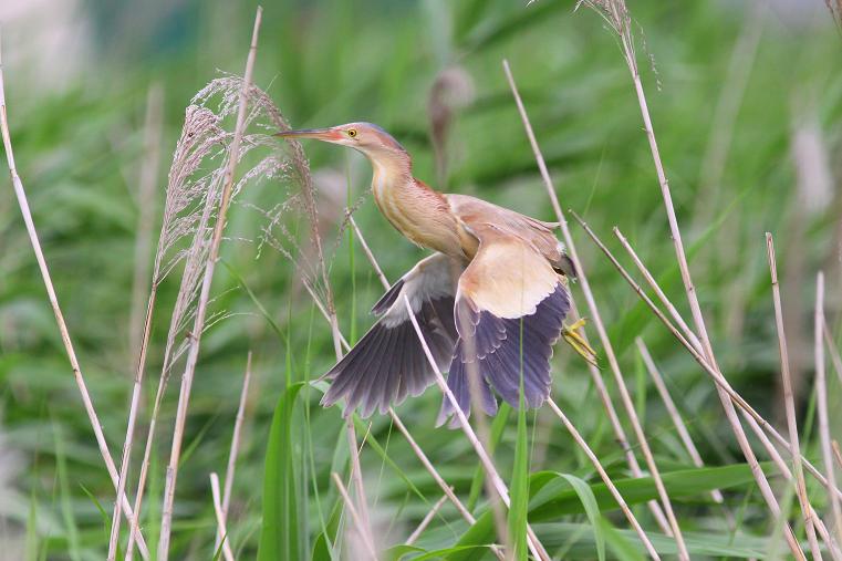 �Ó�̕��ƌ�