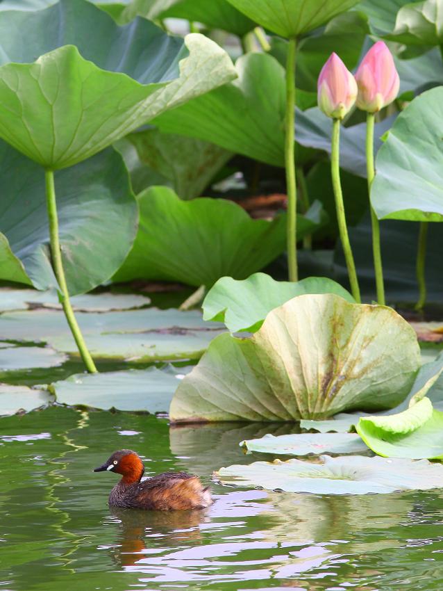 �Ó�̕��ƌ�