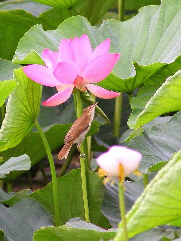 �Ó�̕��ƌ�