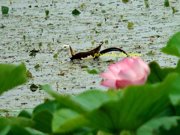 �Ó�̕��ƌ�