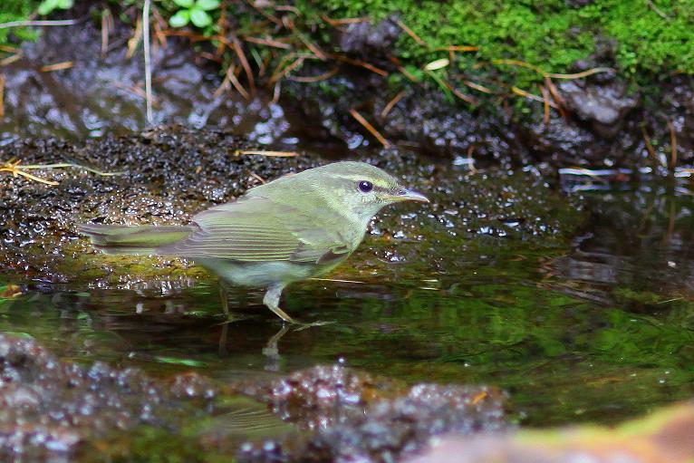 �Ó�̕��ƌ�