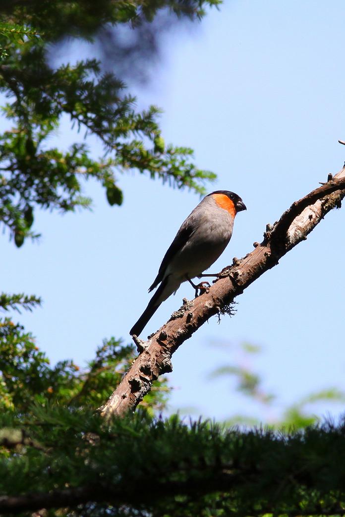 �Ó�̕��ƌ�