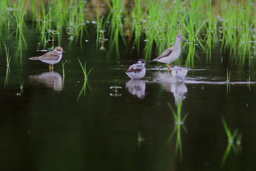 �Ó�̕��ƌ�