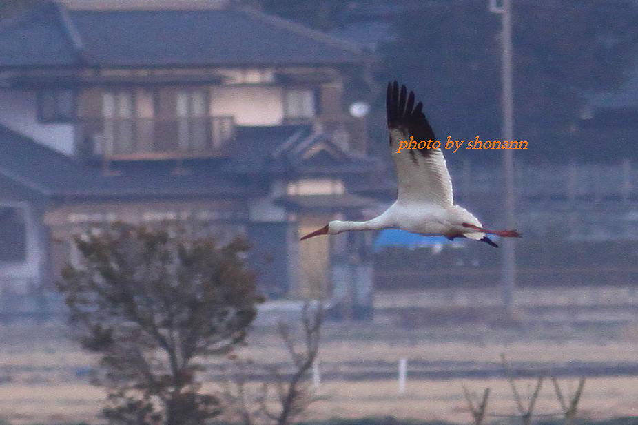 �Ó�̕��ƌ�