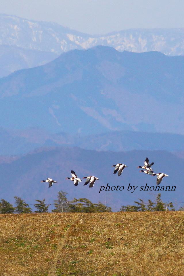 �Ó�̕��ƌ�