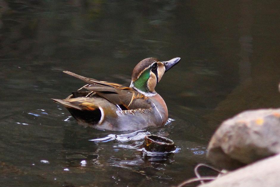 �Ó�̕��ƌ�