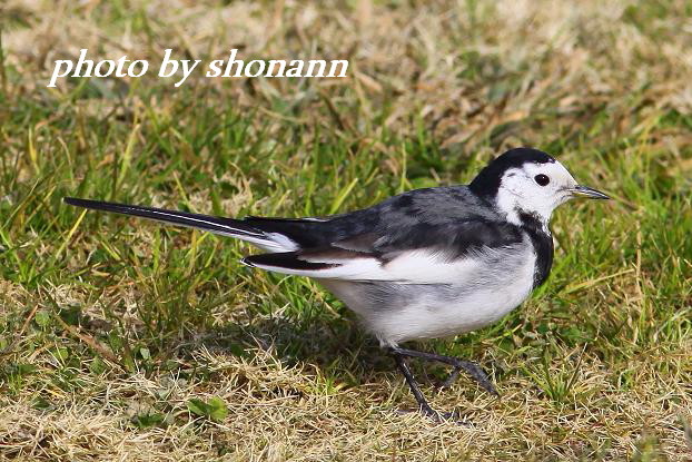 �Ó�̕��ƌ�