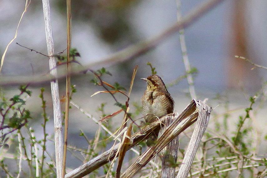 �Ó�̕��ƌ�