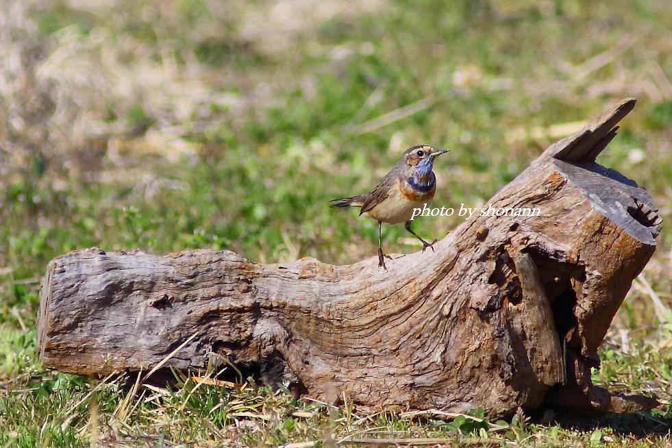 �Ó�̕��ƌ�