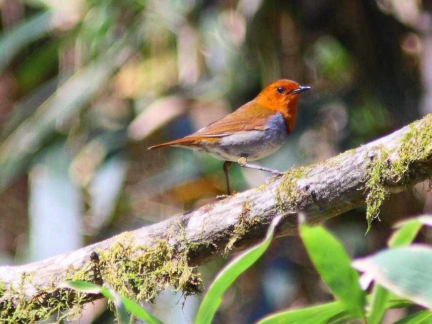 �Ó�̕��ƌ�