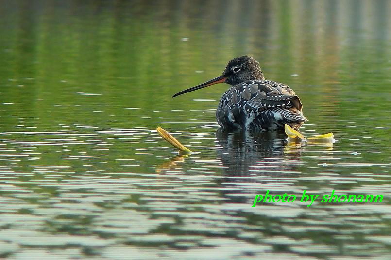 �Ó�̕��ƌ�