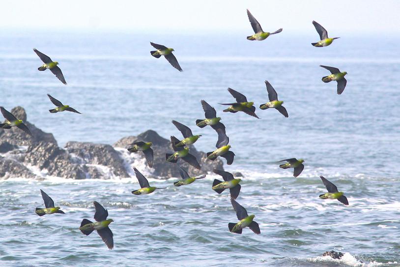 �Ó�̕��ƌ�