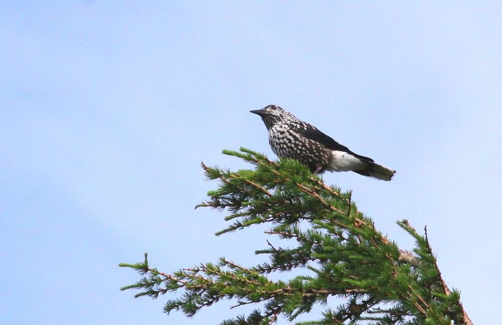 �Ó�̕��ƌ�