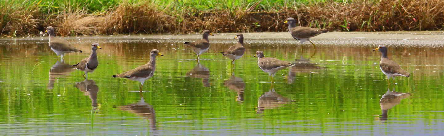 �Ó�̕��ƌ�