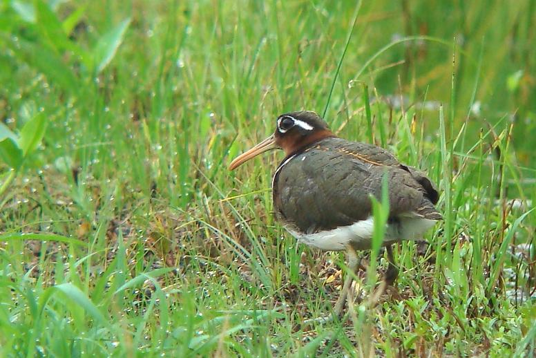 �Ó�̕��ƌ�