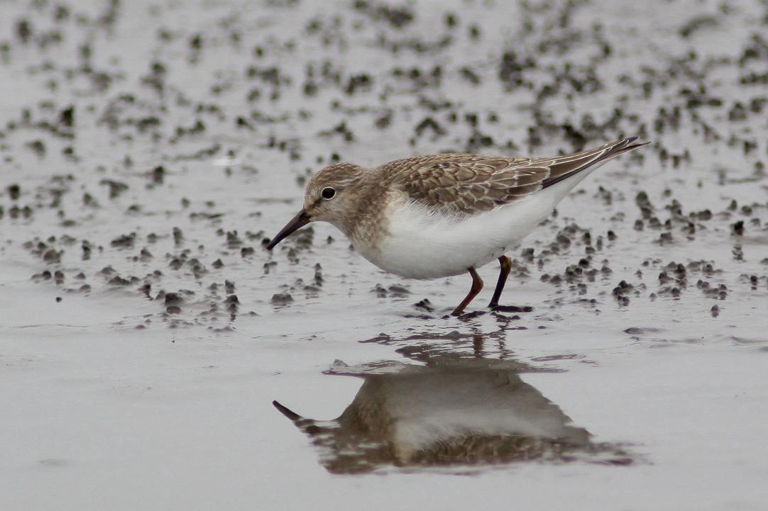 �Ó�̕��ƌ�