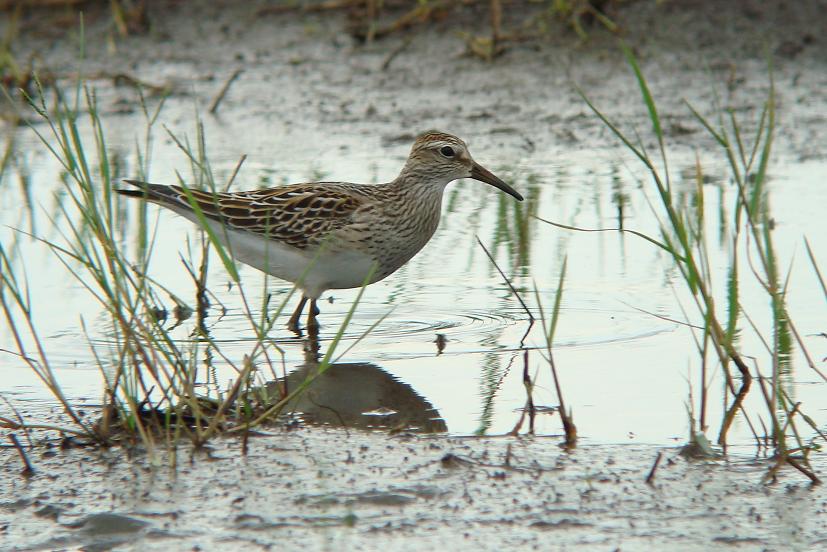 �Ó�̕��ƌ�