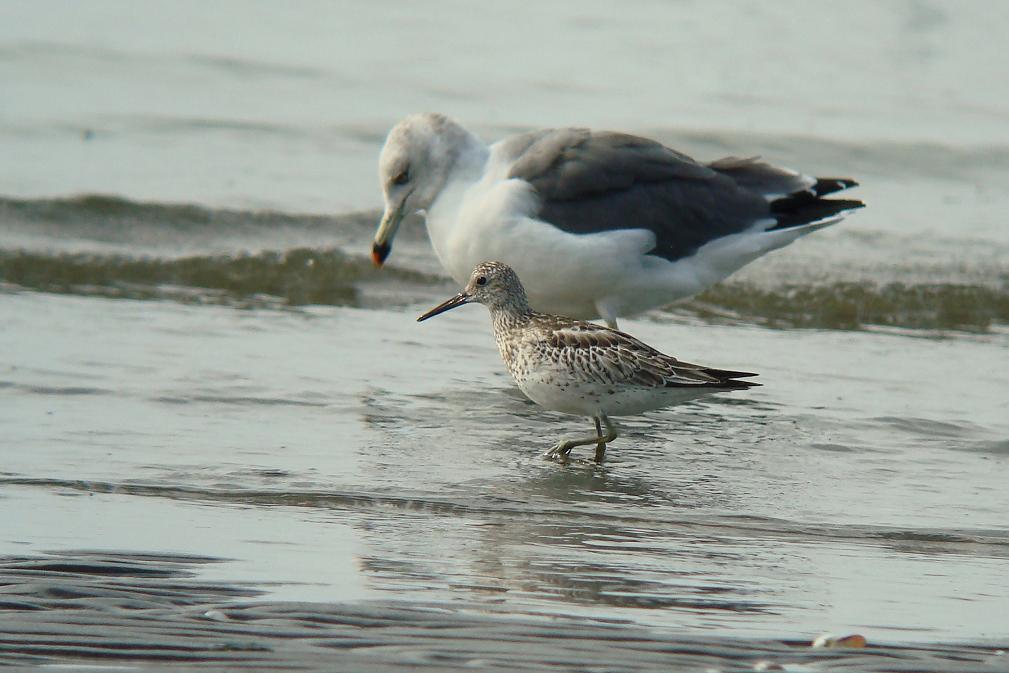 �Ó�̕��ƌ�